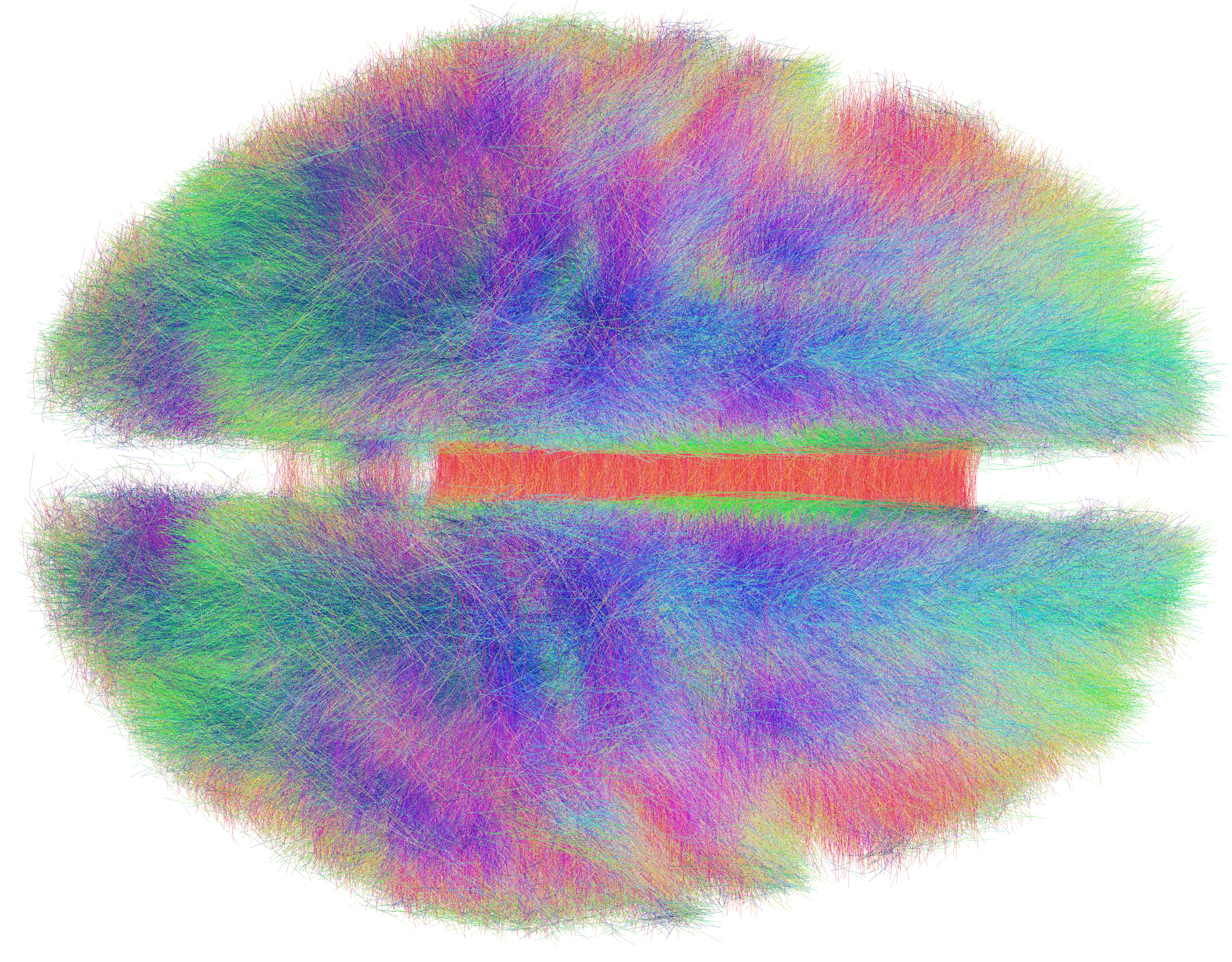 Rendering of a human brain seen from above, built entirely from thousands of fine fibre tracks colour-coded by direction, with the corpus callosum crossing between the hemispheres in red.