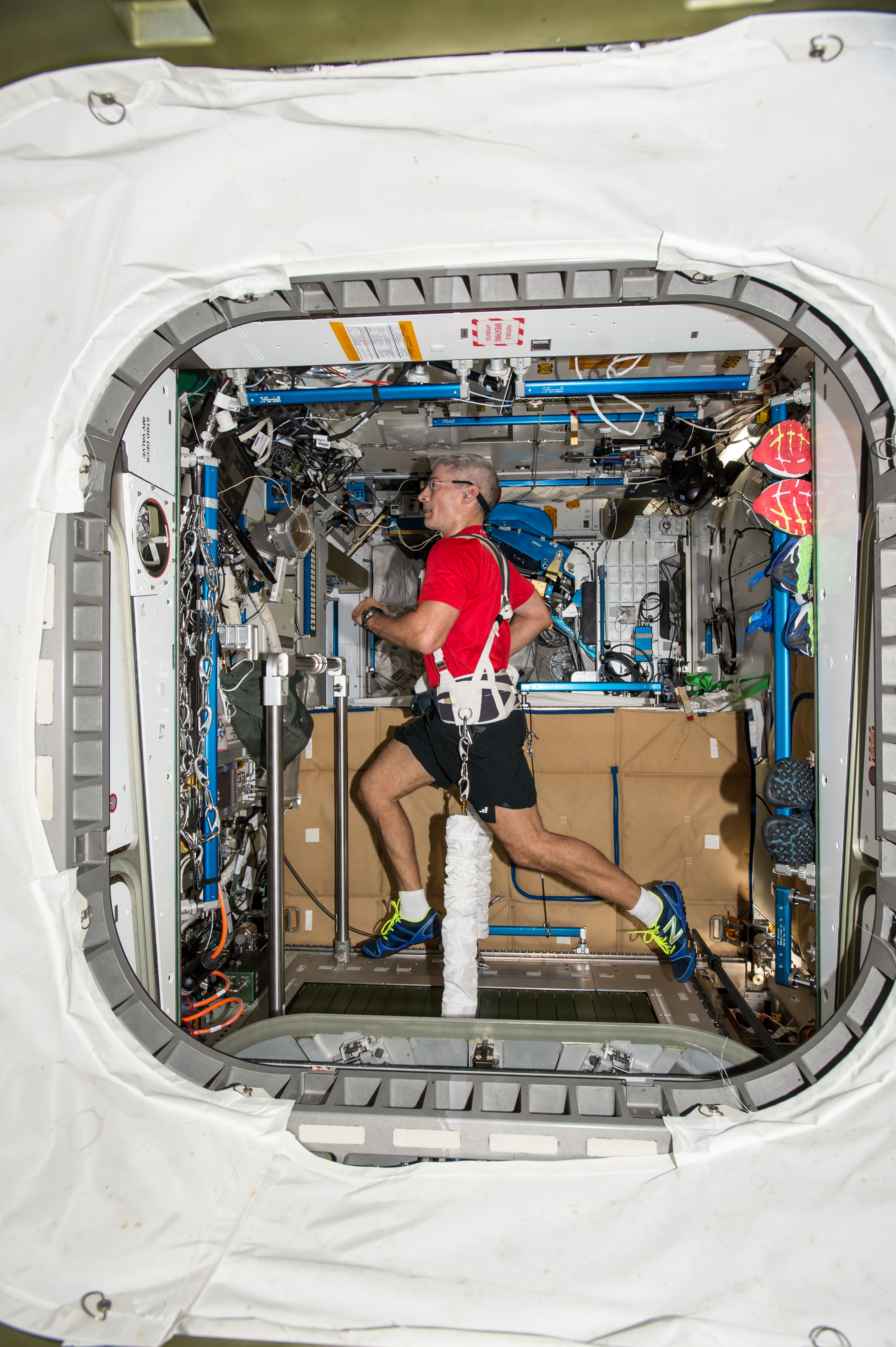 Astronaut in a red shirt and shorts running on a treadmill mounted in the wall of a space station module, pulled onto the belt by a shoulder-and-waist harness with tensioned straps.